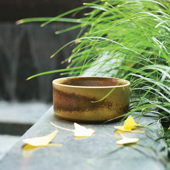 Rusty Brown "Energy" Bowl