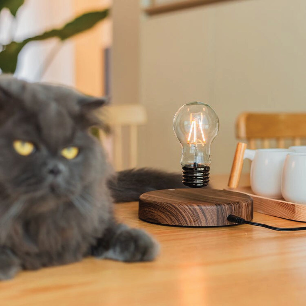 Floating Table Lamp