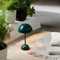 Flowerpod Portable Table Lamp